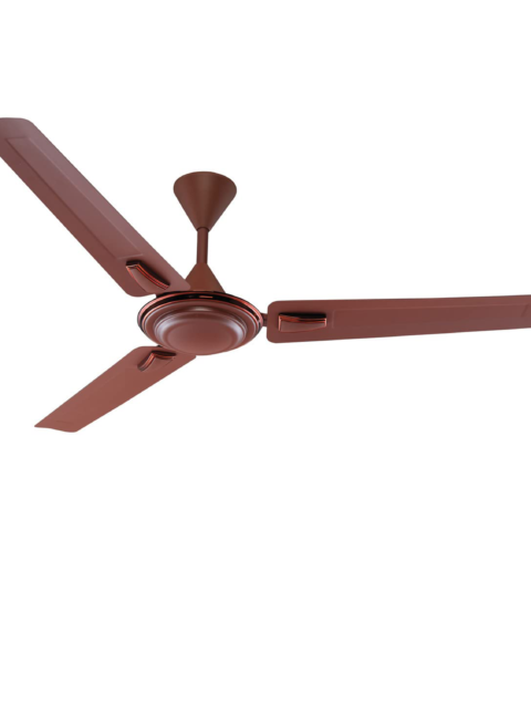 CG-Sturdy-Star-Deco 1200mm Ceiling fan