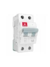 havells-euro-32a-dp-mcb